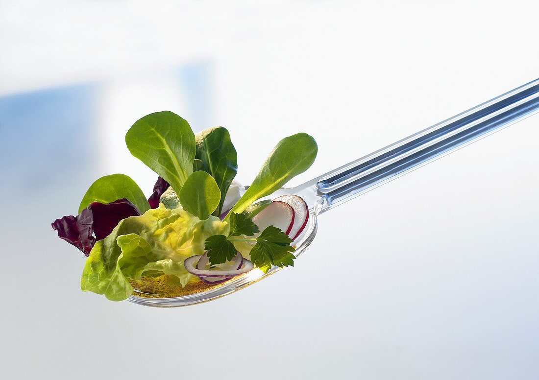 Verschiedene Blattsalate auf einem Salatlöffel
