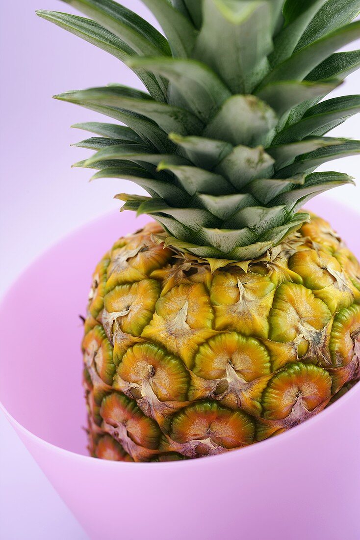 Pineapple in pink plastic container