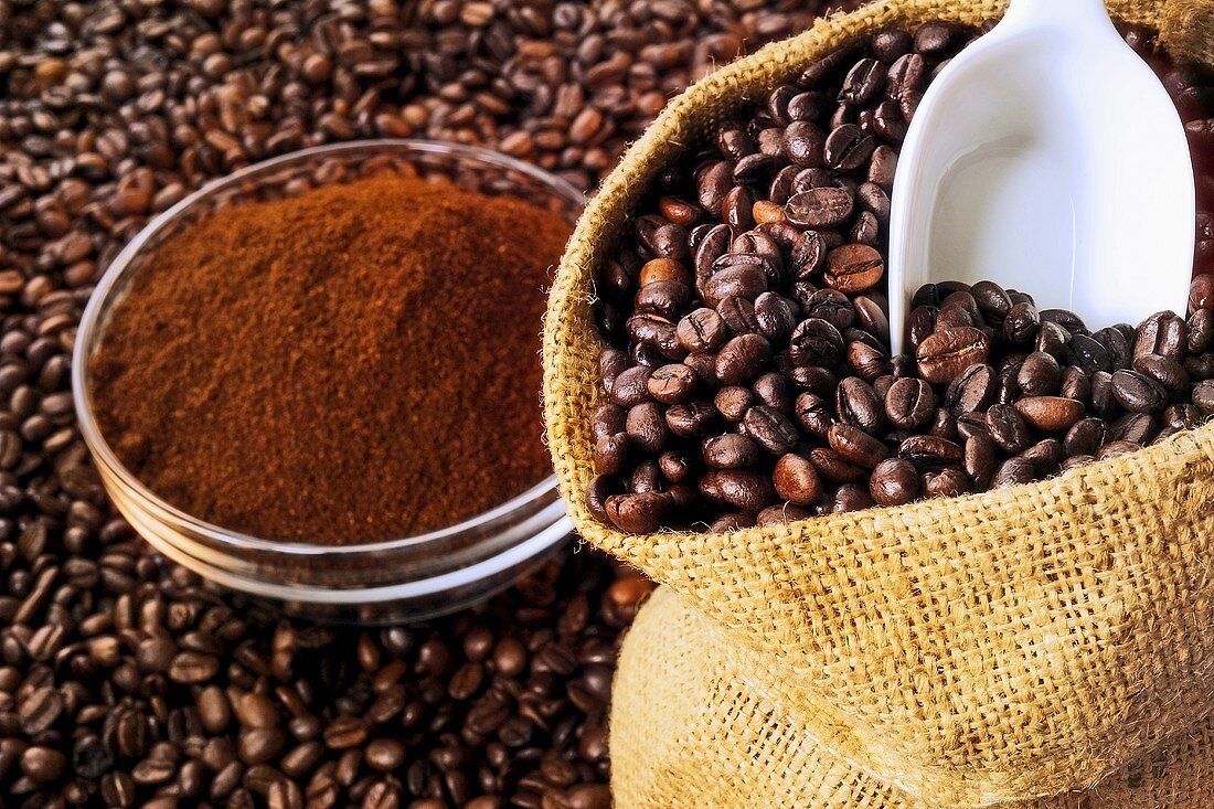 Coffee beans in a sack and ground coffee
