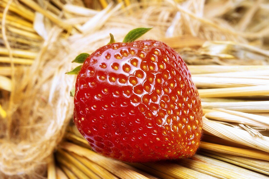 A strawberry on straw