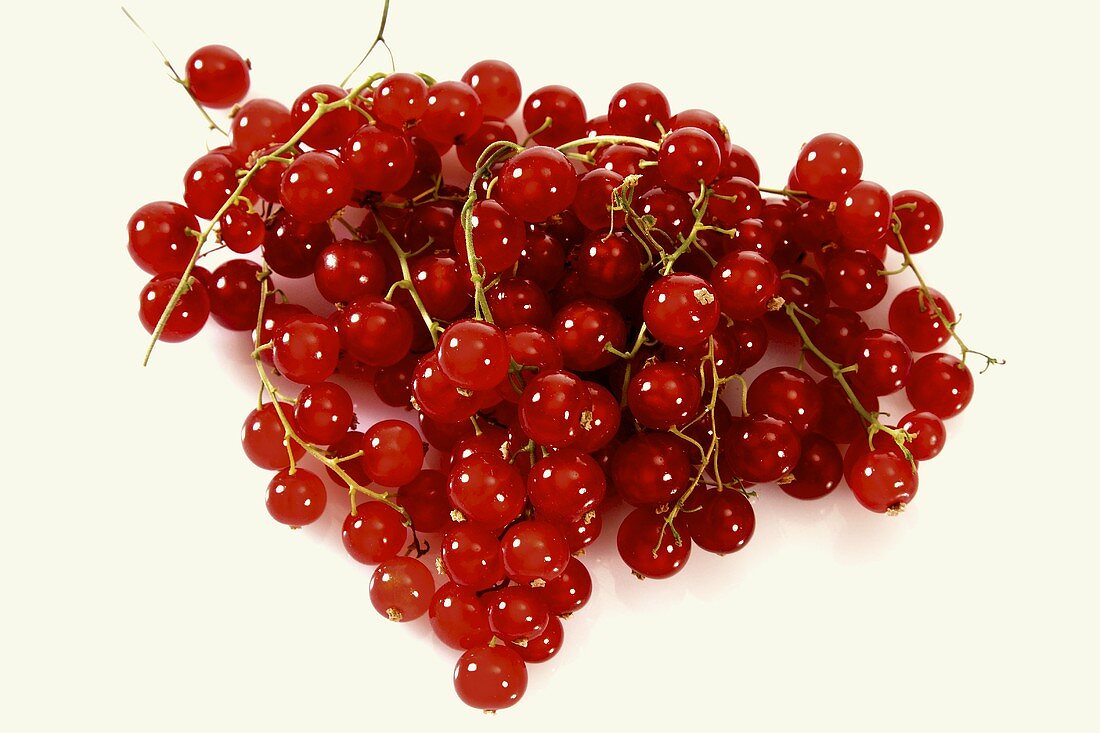 Rote Johannisbeeren