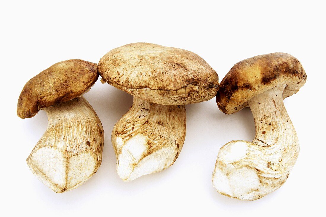 Three whole ceps