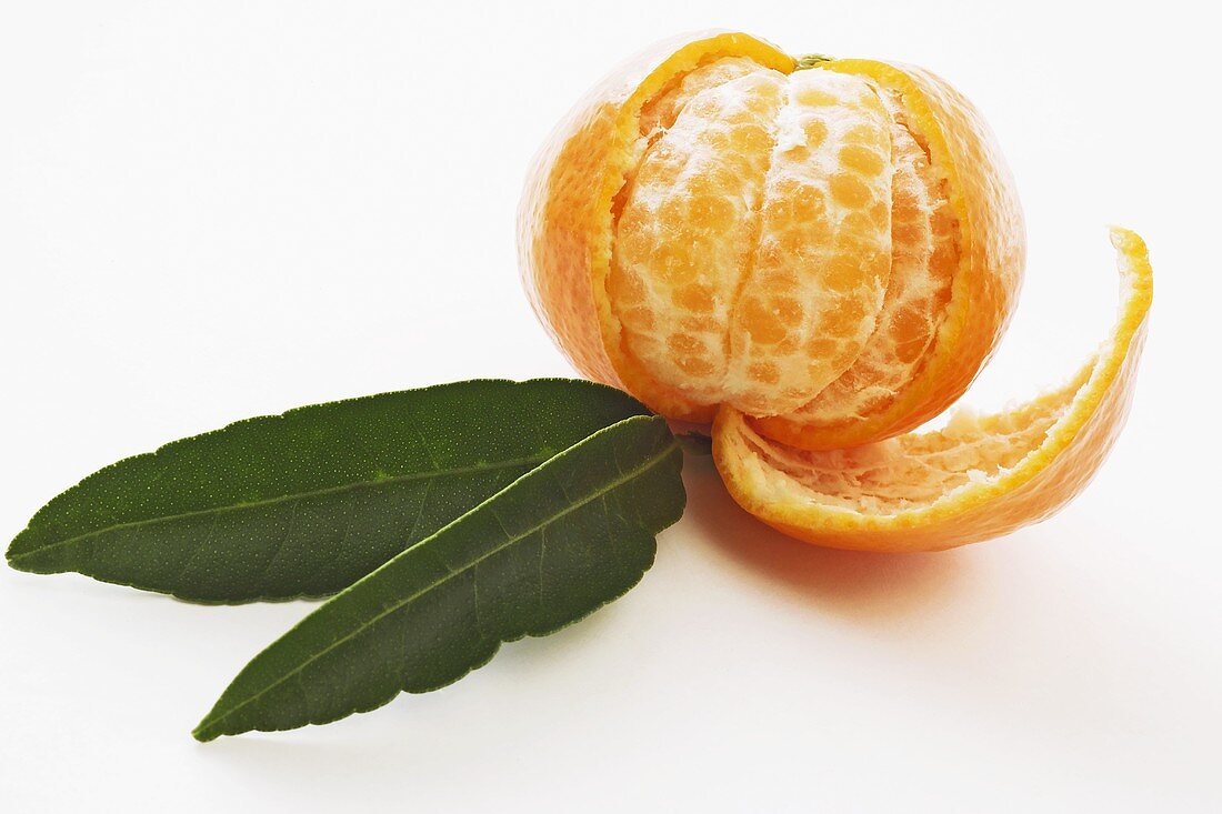 Partly peeled clementine with two leaves