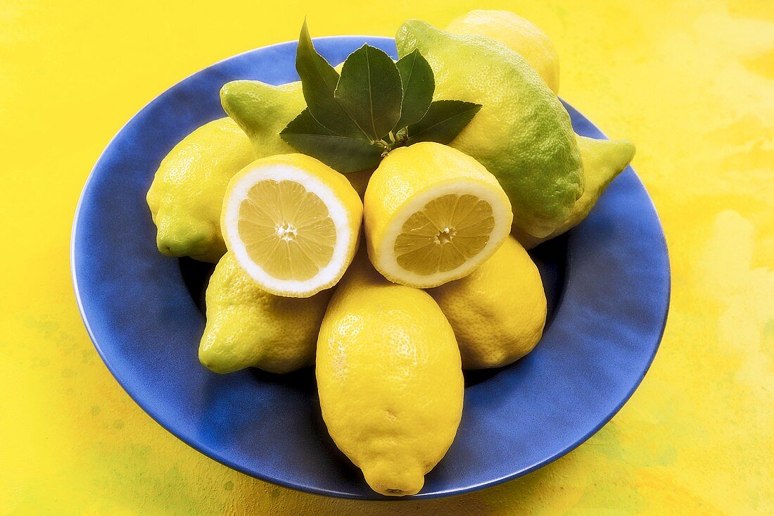 Organic lemons in a blue bowl against a yellow background