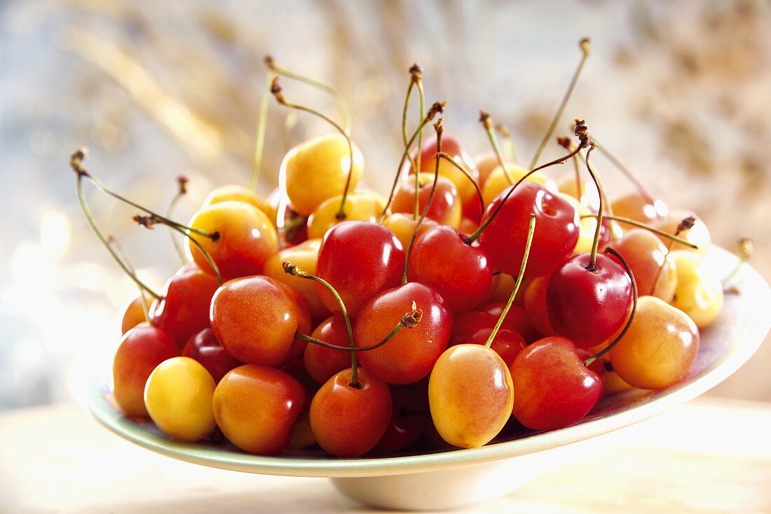 Sweet cherries in a bowl