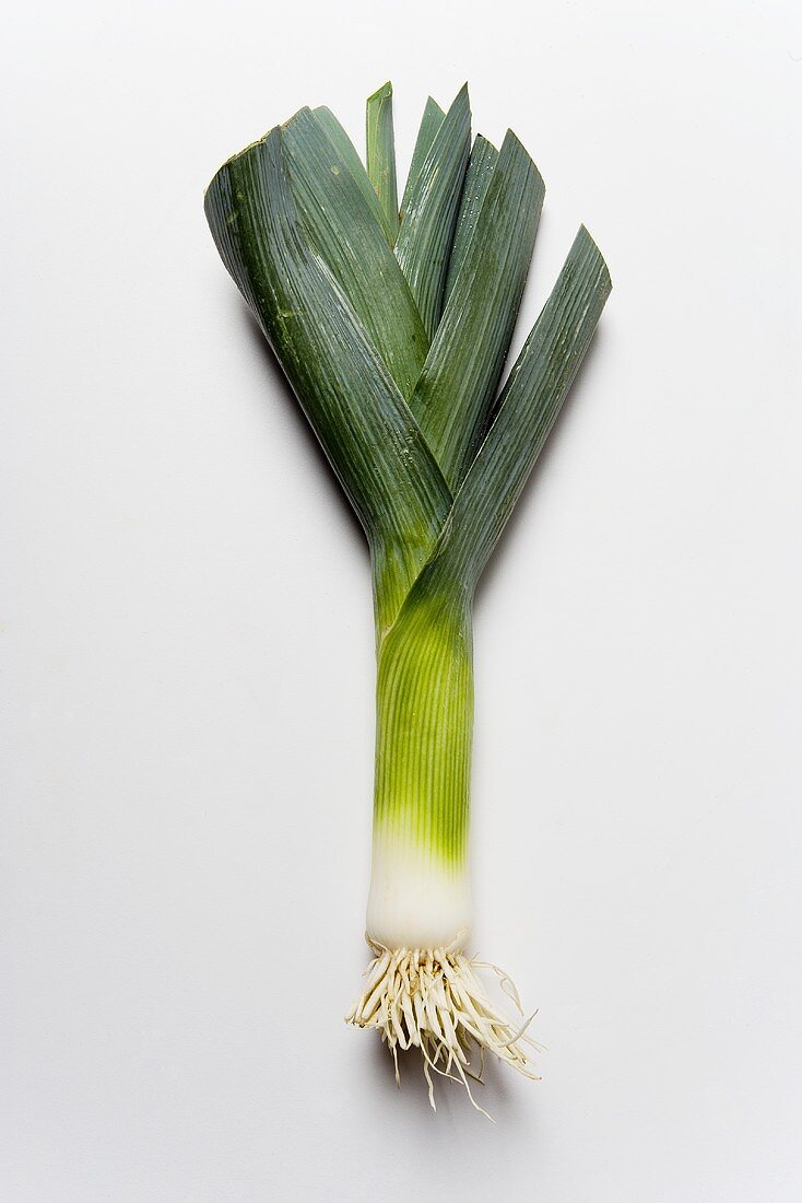 A leek