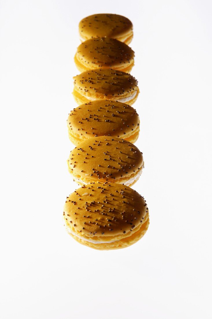 Several lemon macaroons in a row