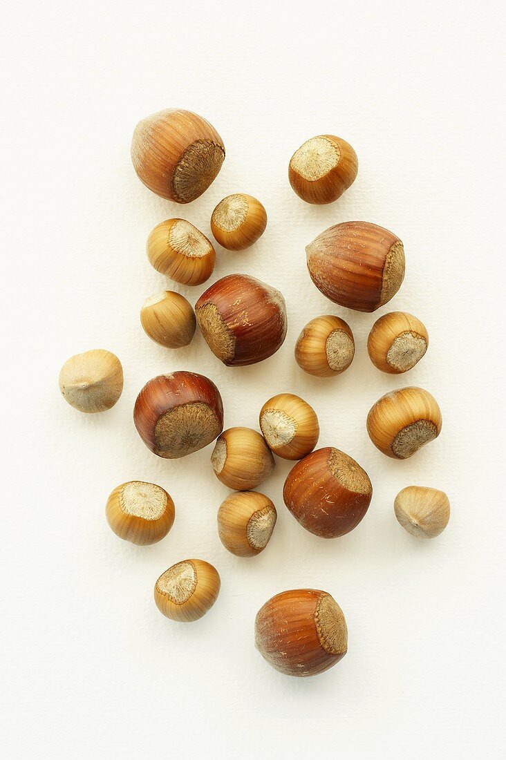 Two different types of hazelnuts