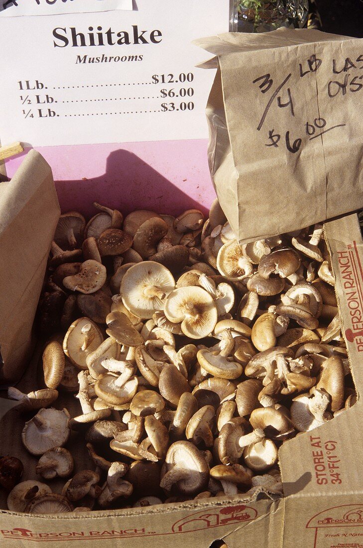 Fresh Shiitake Mushrooms at an Outdoor Market