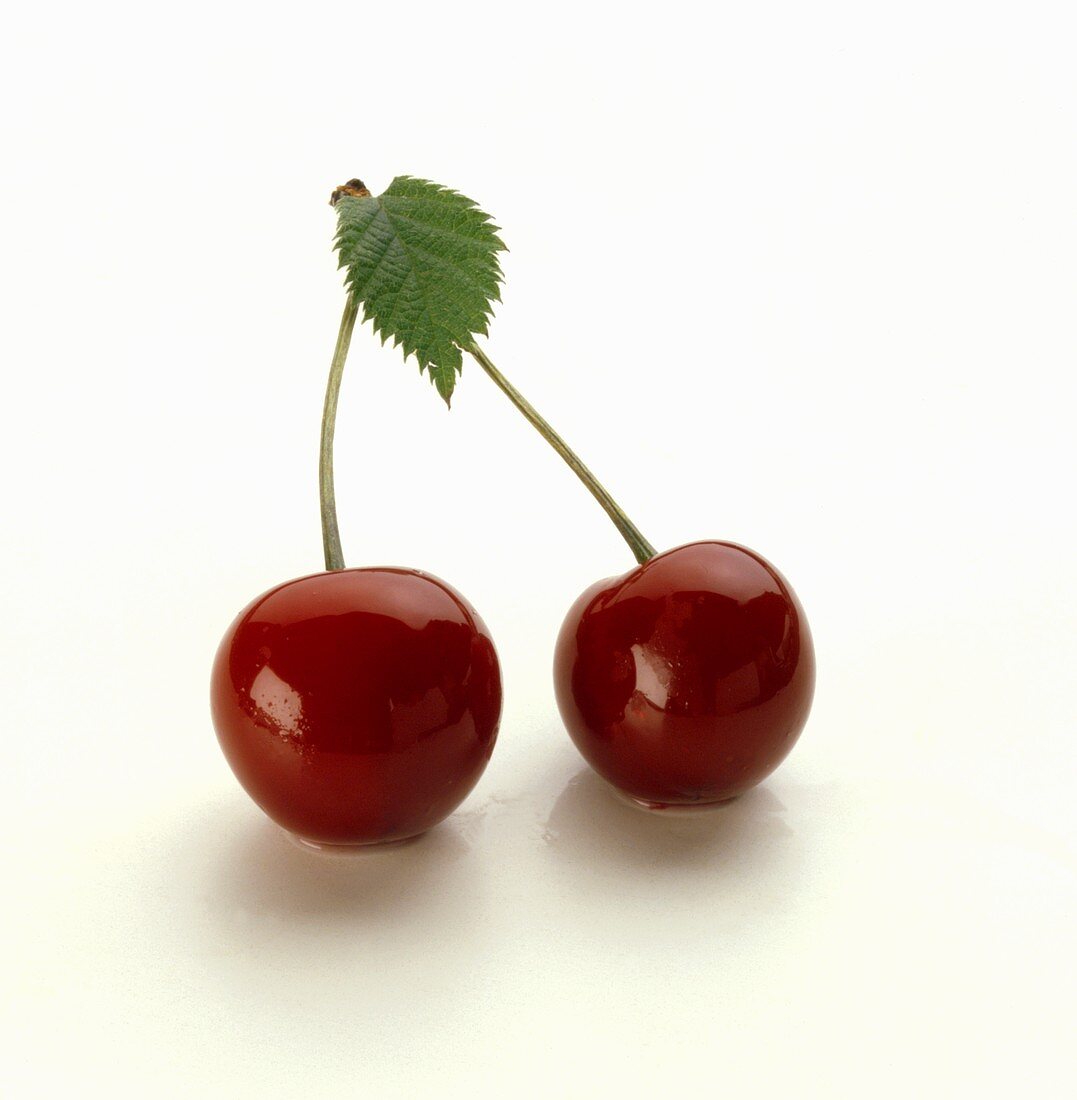 Two cherries on a white background