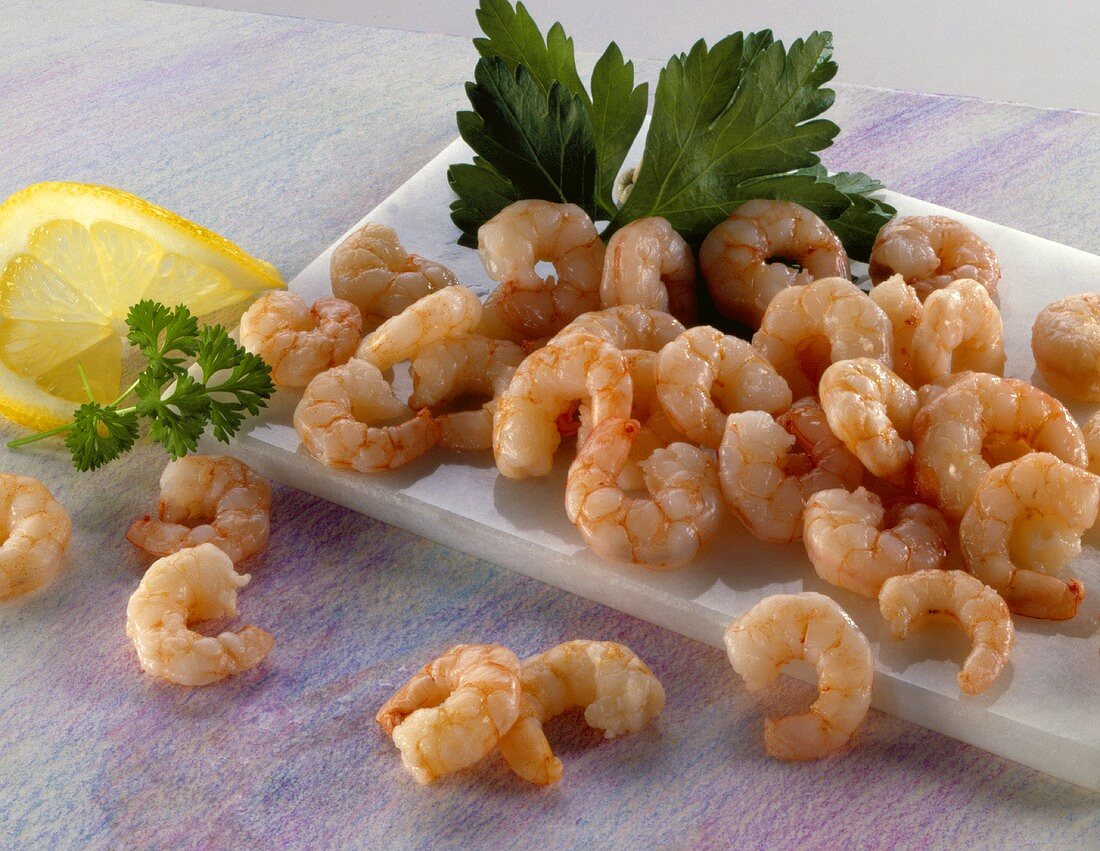 Frische Scampi auf einer Platte