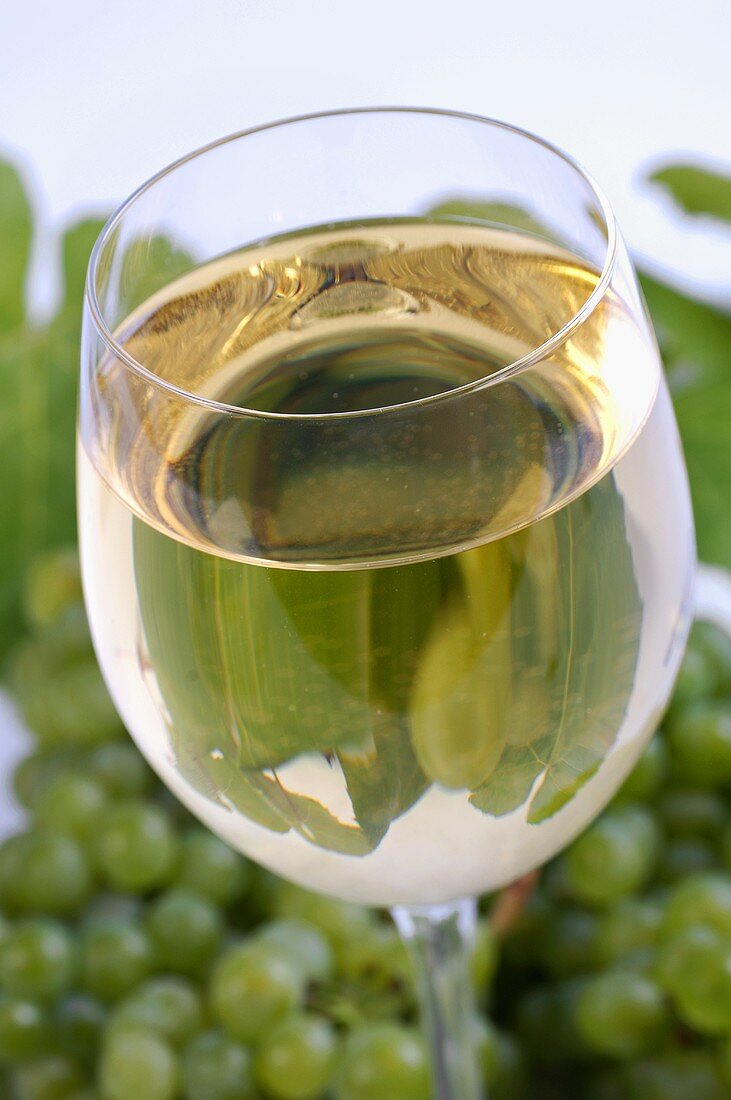 A glass of white wine and grapes in background