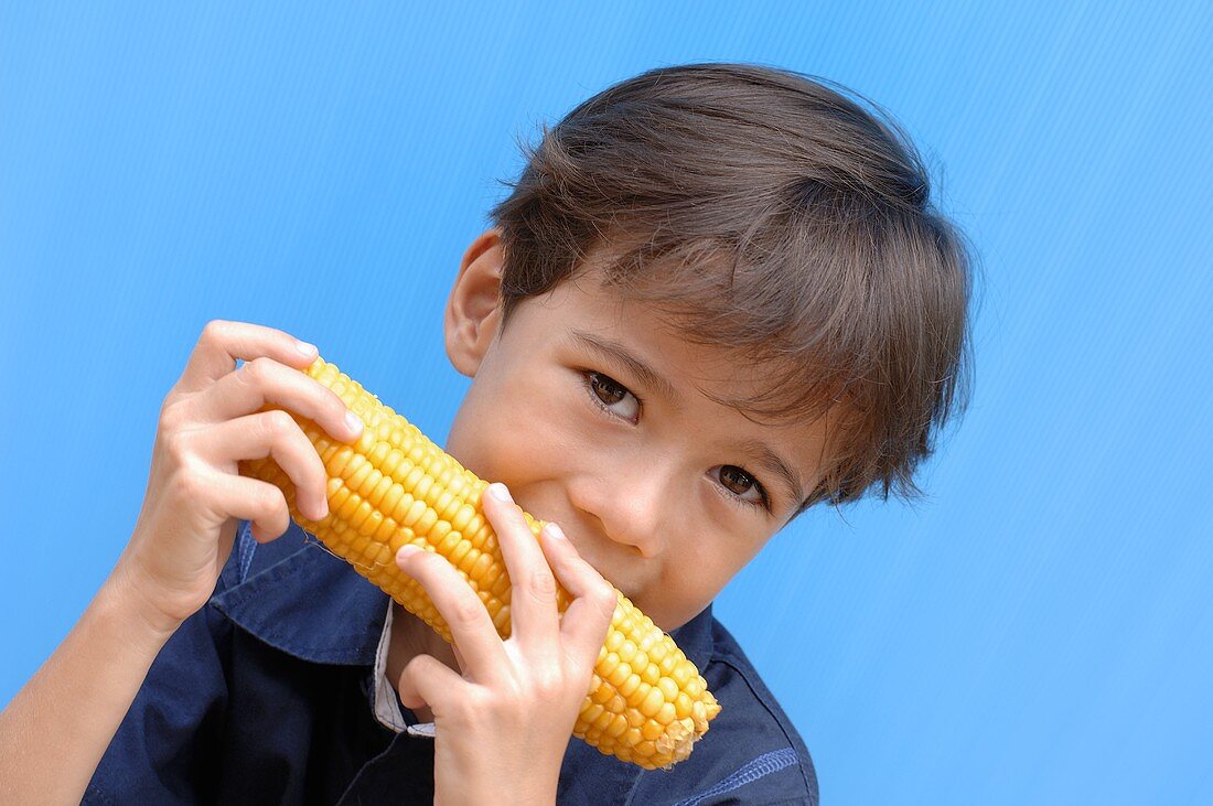 Small boy biting into a corncob