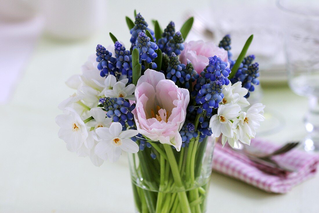 Tulips, narcissi and grape hyacinths