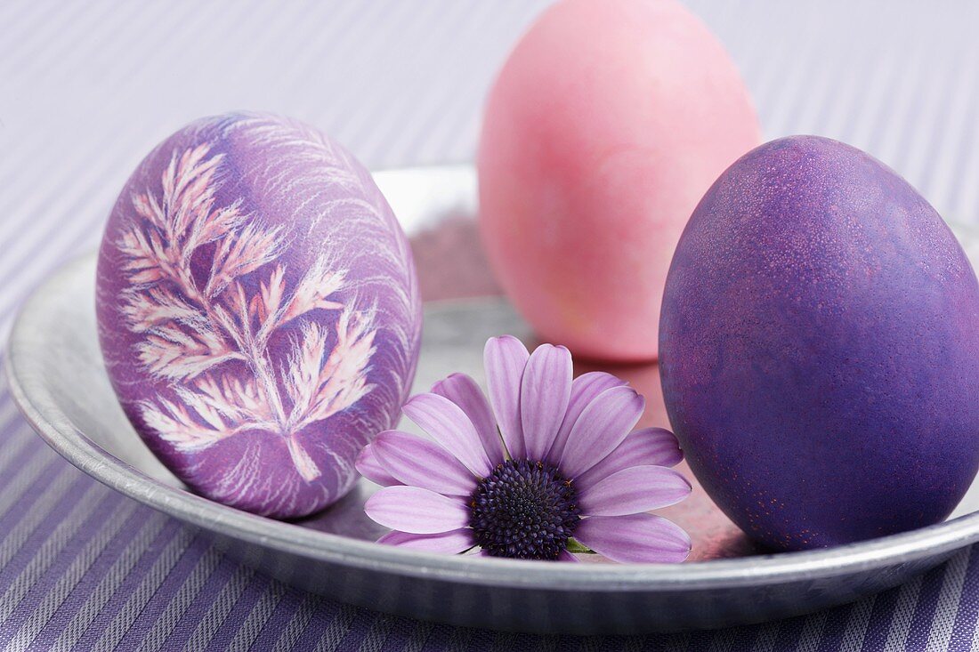 Three coloured Easter eggs with flower on a plate