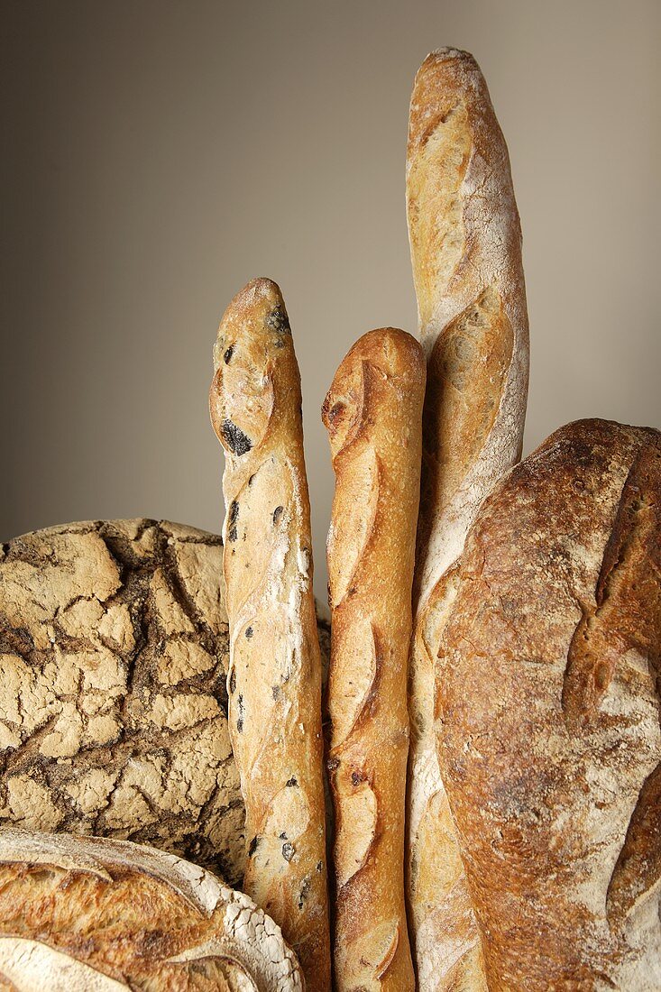 Assorted loaves of bread and baguettes