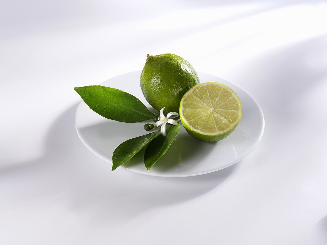 Limes with leaves and flower