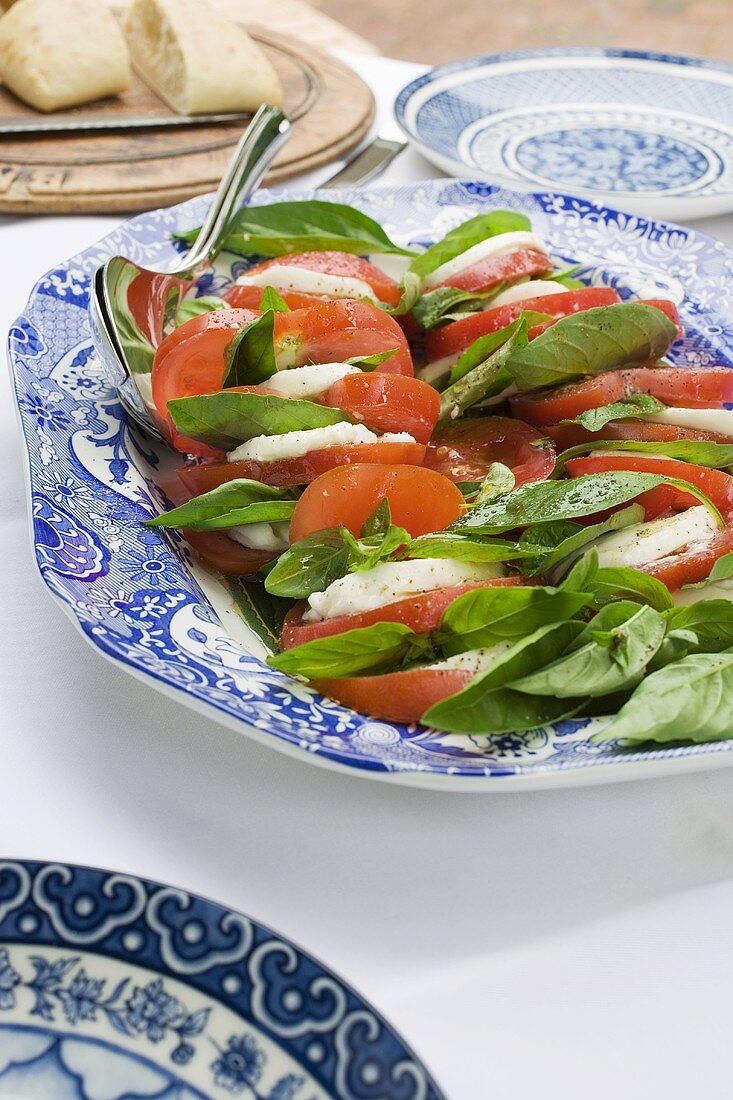 Insalata Caprese (Tomaten und Mozzarella, Italien)