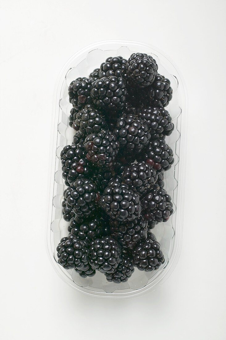 Fresh blackberries in a plastic punnet