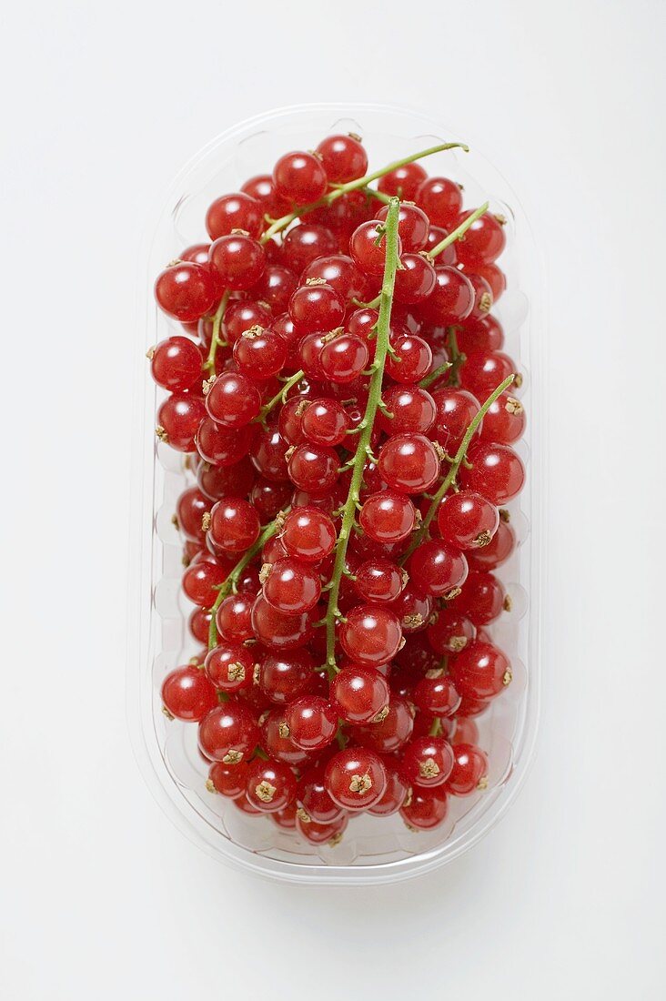 Redcurrants in a plastic punnet