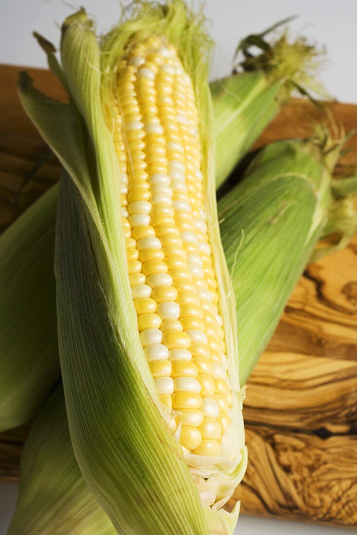 Three corn cobs with husks