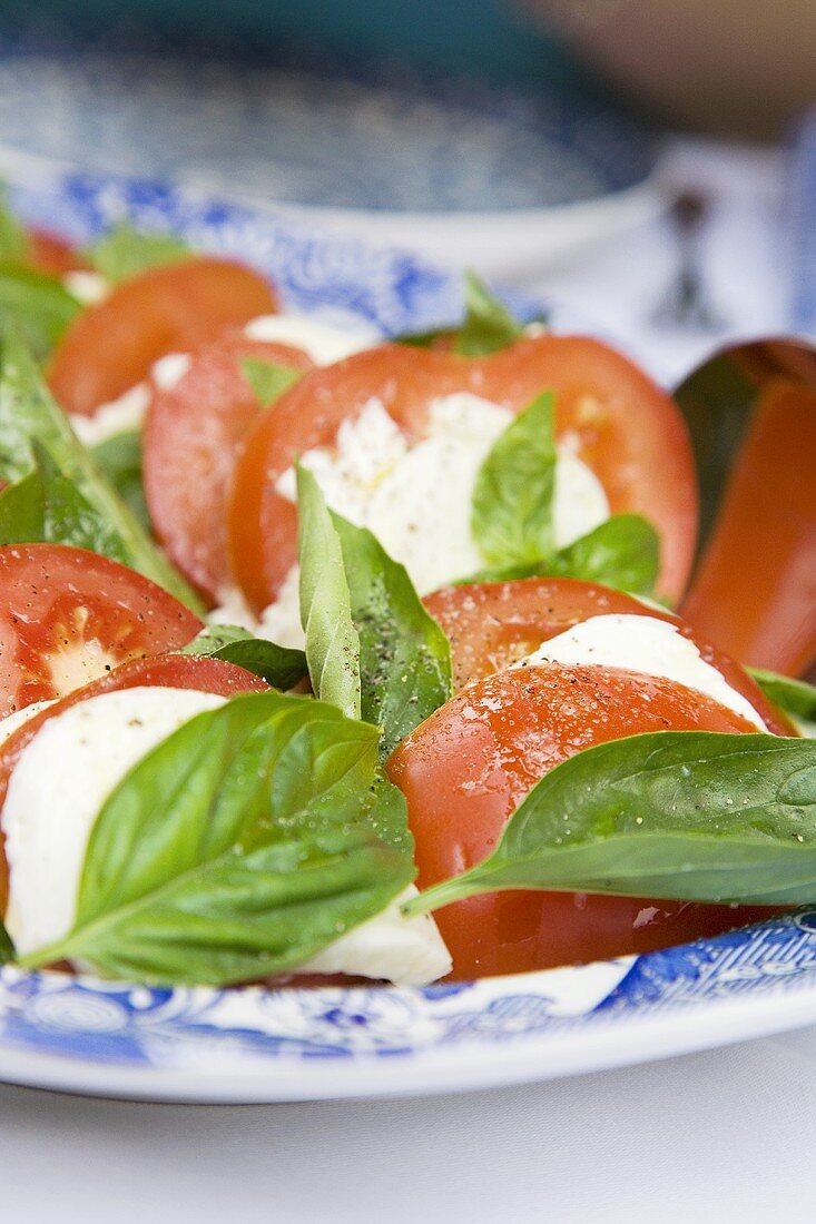 Insalata Caprese (Tomaten und Mozzarella, Italien)