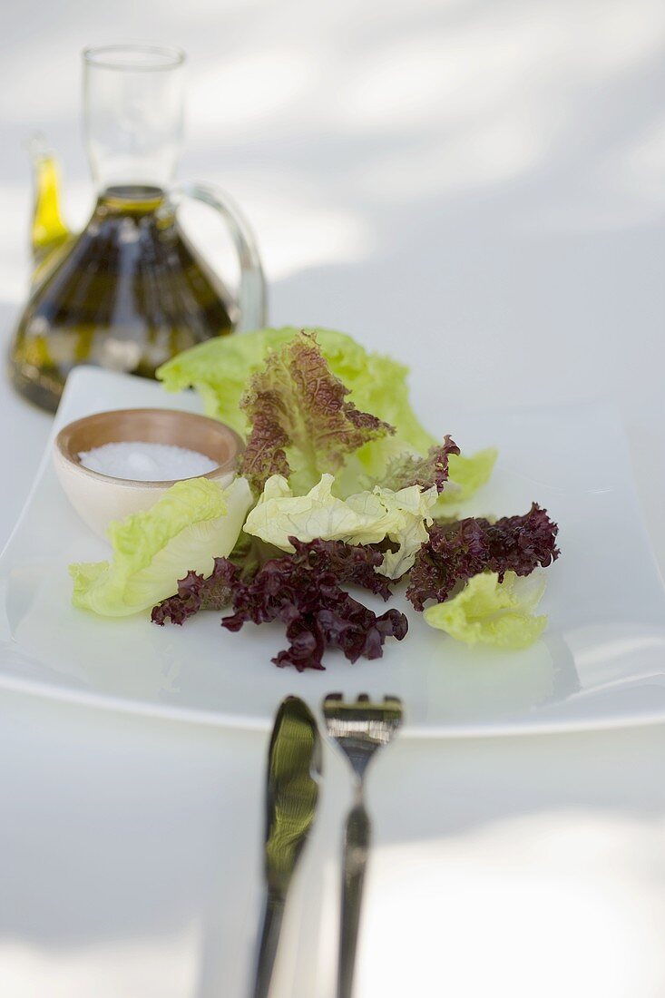 Mixed salad leaves