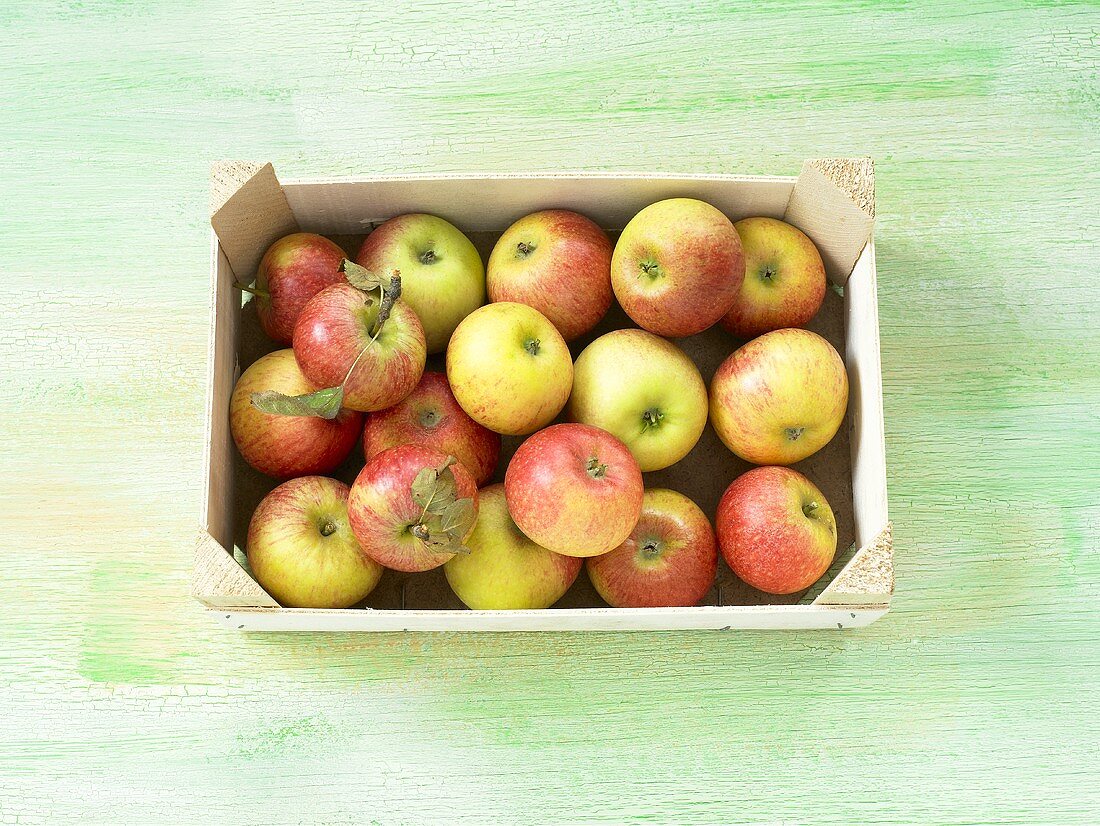 Fresh apples in a crate