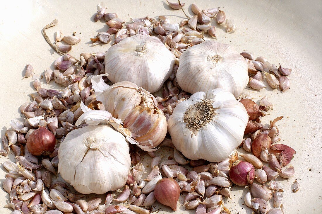 Garlic bulbs and cloves in a heap