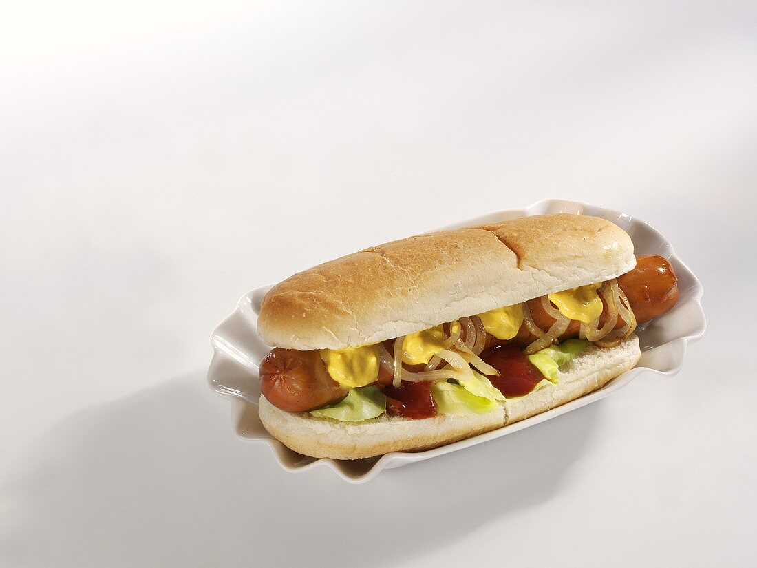 A hot dog with onions, ketchup and mustard
