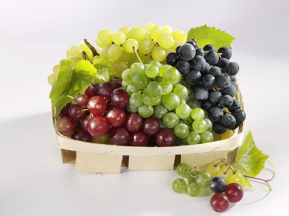 Four types of grapes in a punnet