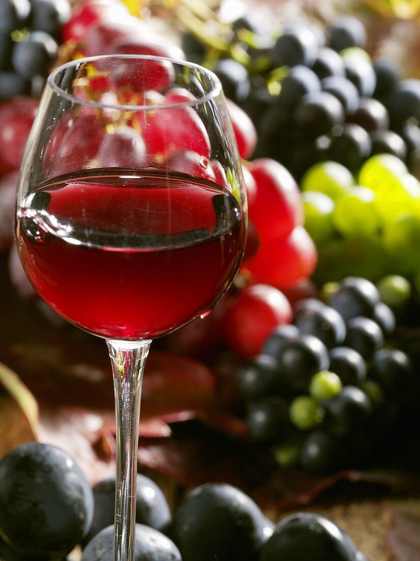Ein Glas Rotwein mit gemischten Trauben im Hintergrund
