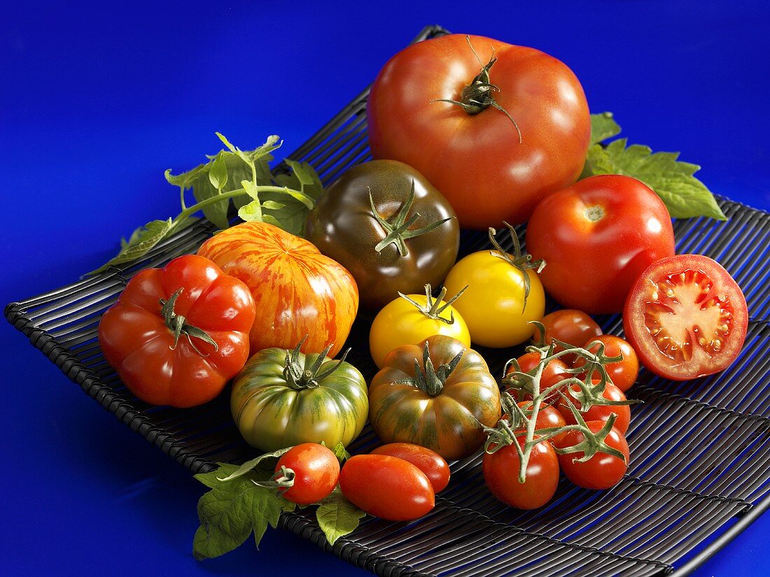 Verschiedene Tomaten in einer Schale