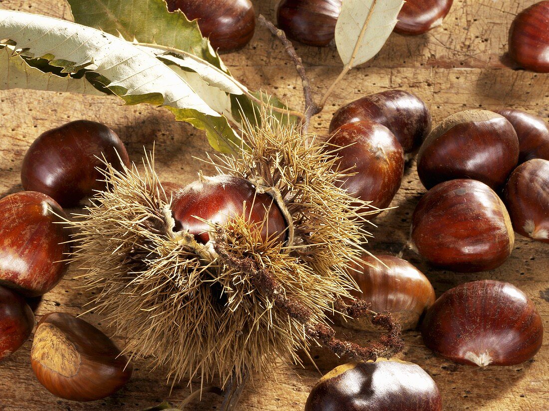 Still life with sweet chestnuts