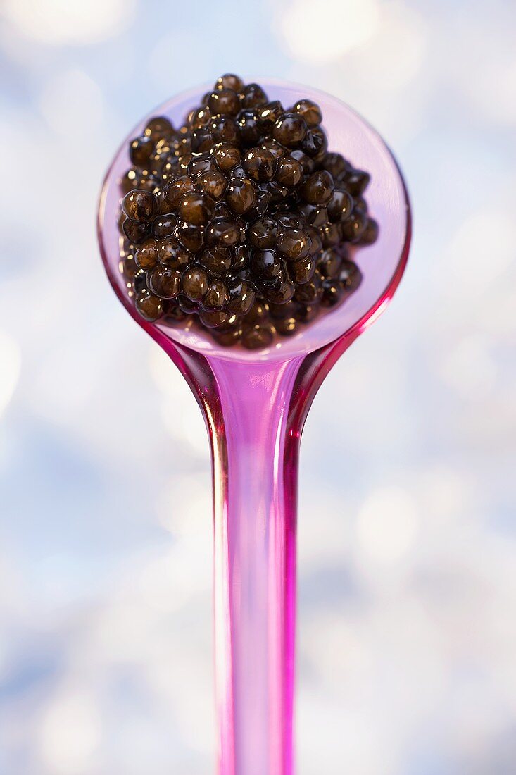 Osietra-Kaviar auf rosa Plastiklöffel