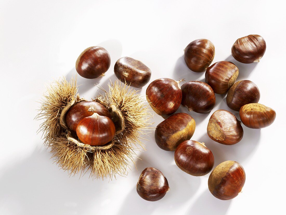 Sweet chestnuts, one with prickly case