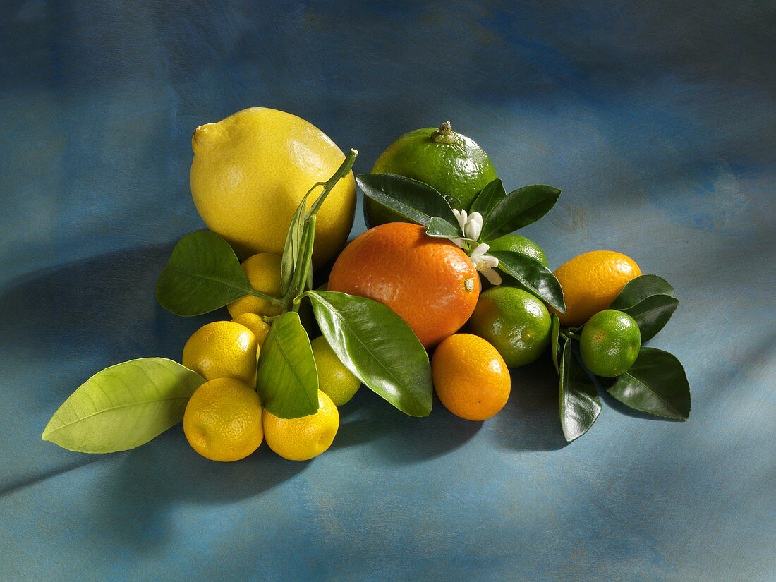 Assorted citrus fruits