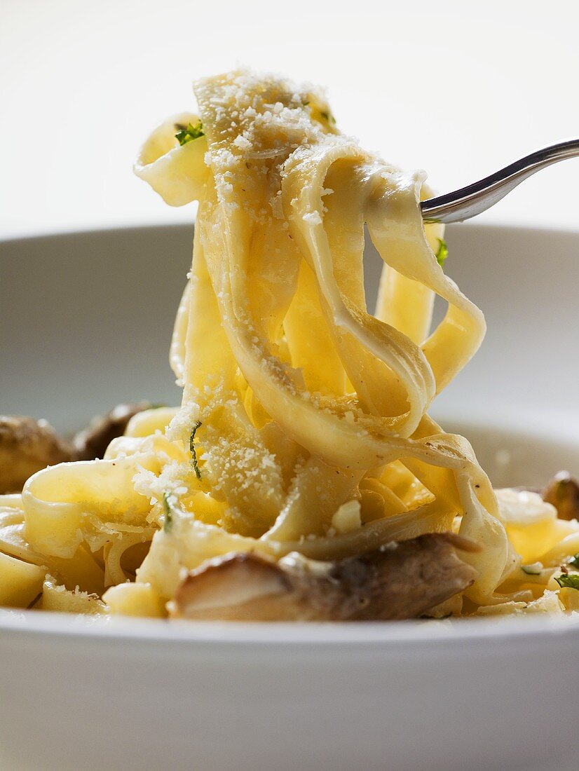 Ribbon pasta with ceps and grated Parmesan