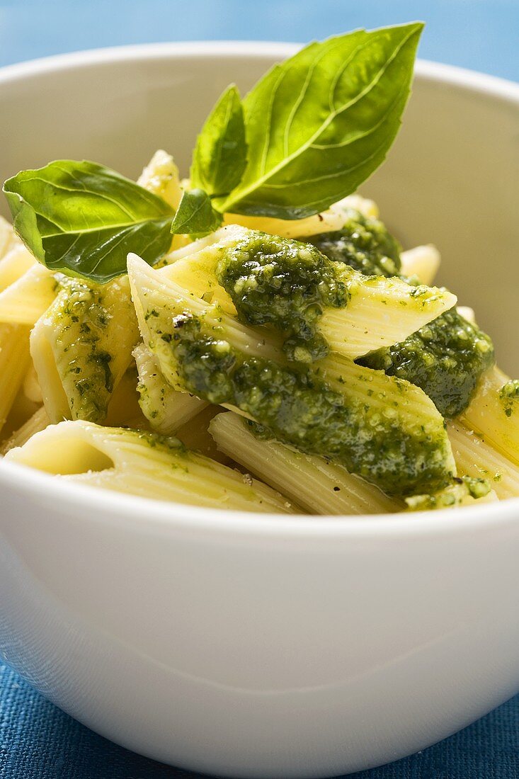 Penne mit Pesto