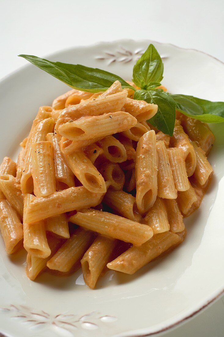 Rigatoni with tomato and mozzarella sauce