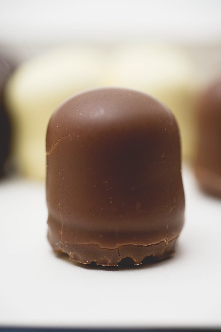 A mini-Dickmann (chocolate-covered marshmallow on wafer base)