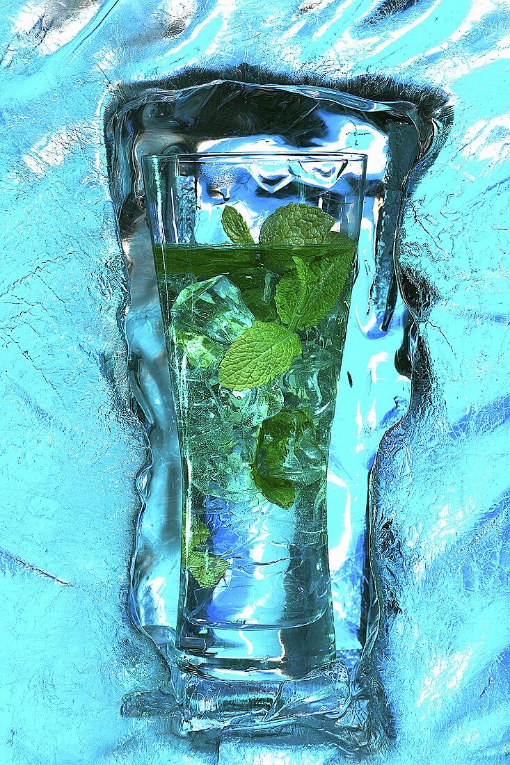 Mojito with fresh mint surrounded by ice