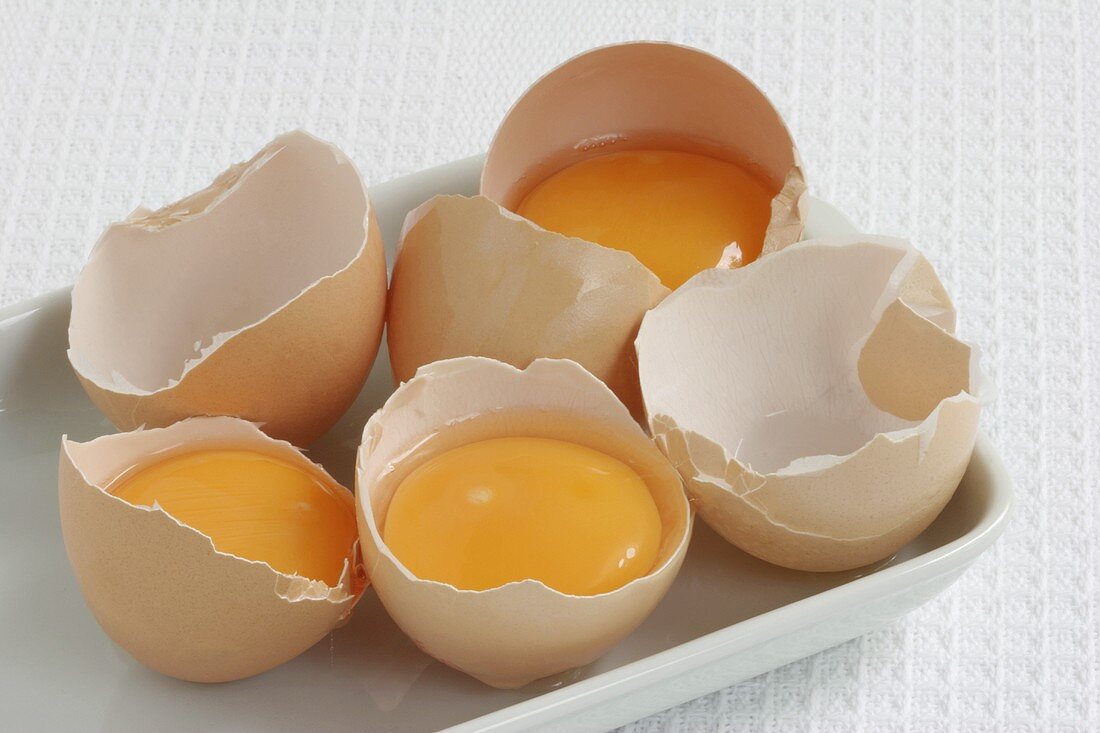 Eggs, broken open, in their shells