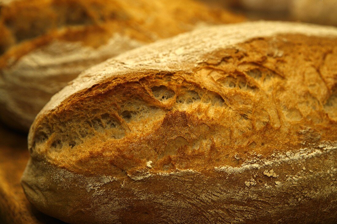 Loaves of fresh bread