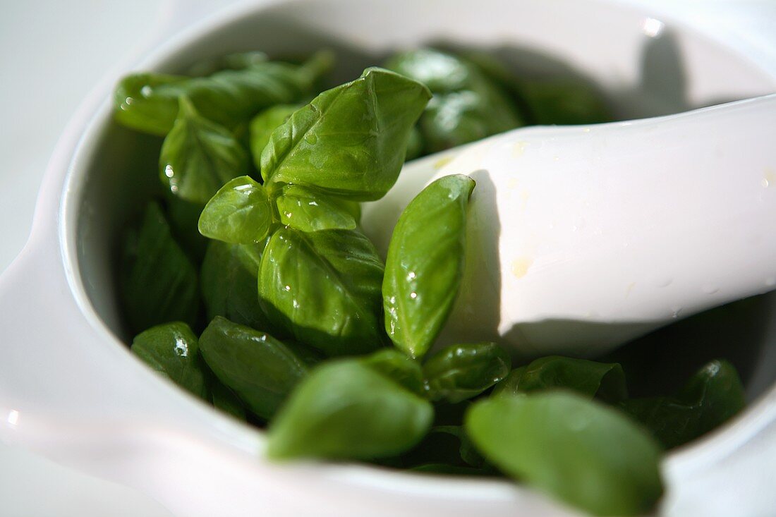 Fresh basil with olive oil in mortar with pestle