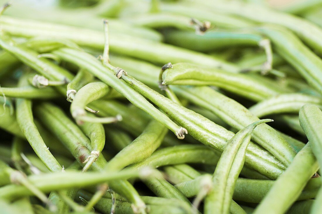 Dwarf green beans