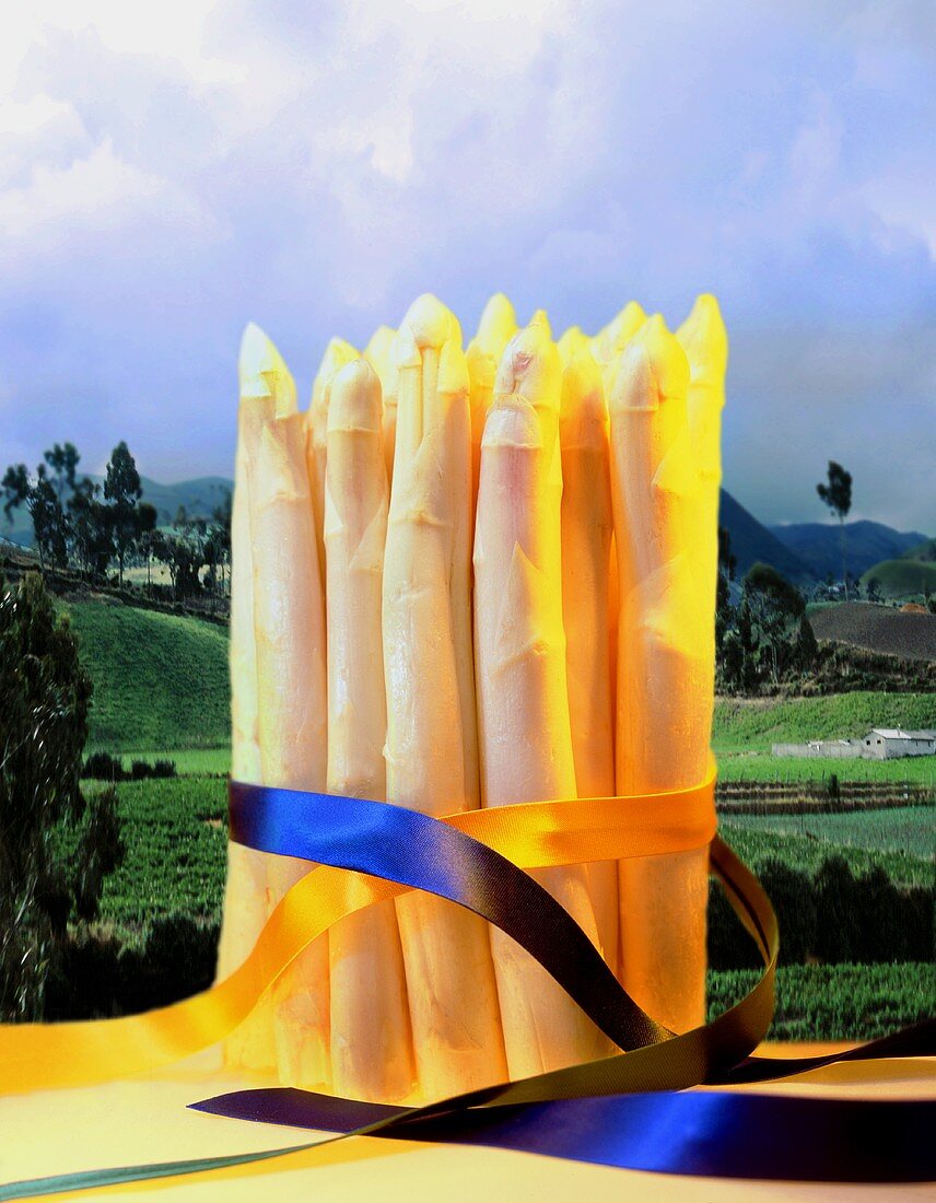 A bundle of asparagus with ribbons