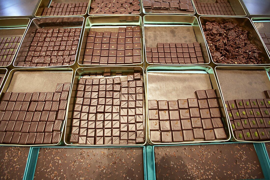 Various types of chocolates