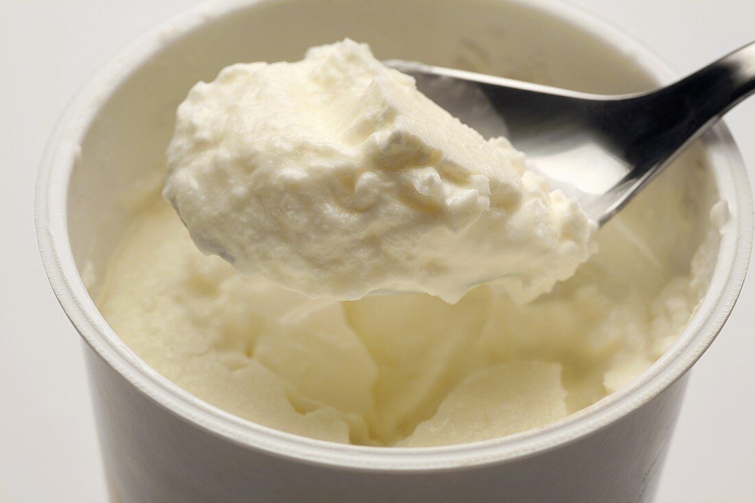 Schafmilch-Joghurt im Becher und auf Löffel