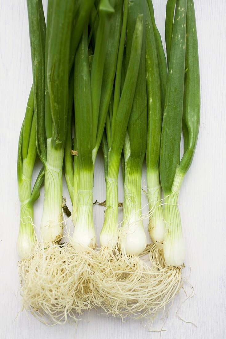 Fresh spring onions